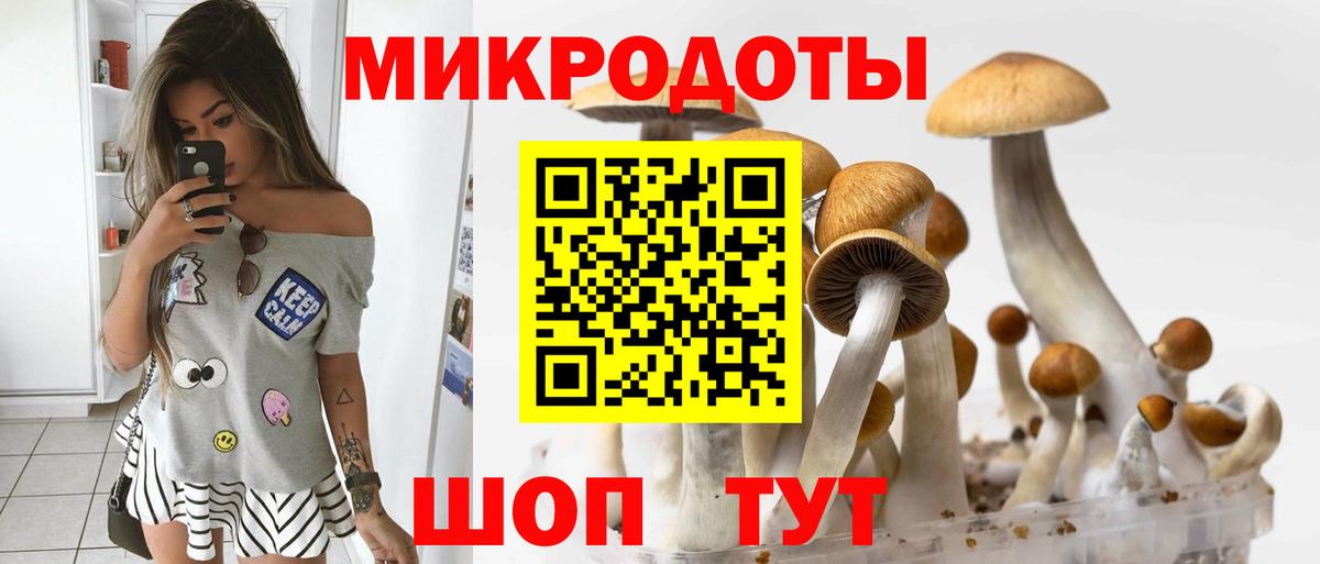 Галлюциногенные грибы GOLDEN TEACHER  Вход с VPN  Старая Купавна 
